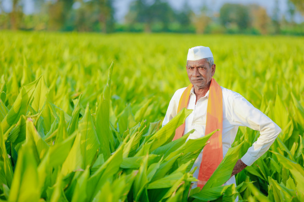 Budget 2020: Doubling Farmers' Income